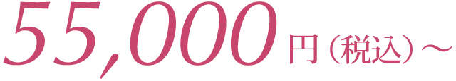 50,000円（税別）〜